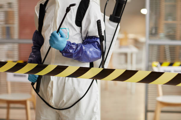 Professional Sewage Cleanup technician working in Oak Park, CA